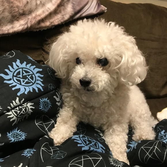 Meet your Posher, Jessica - Picture 11 of 12